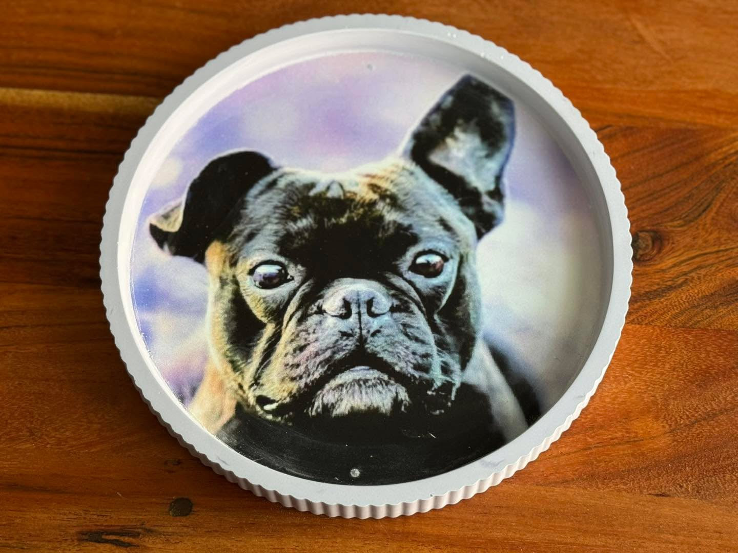 Adventskalender für Frauchen/Herrchen und Hund