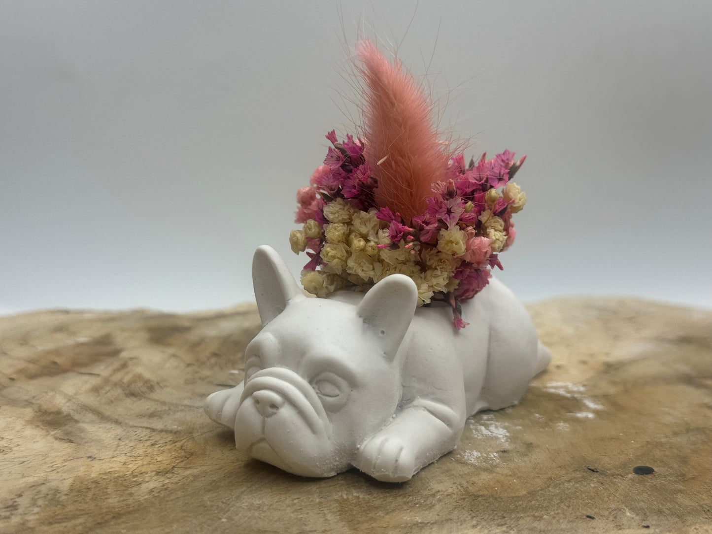 Französische Bulldogge Figur #29