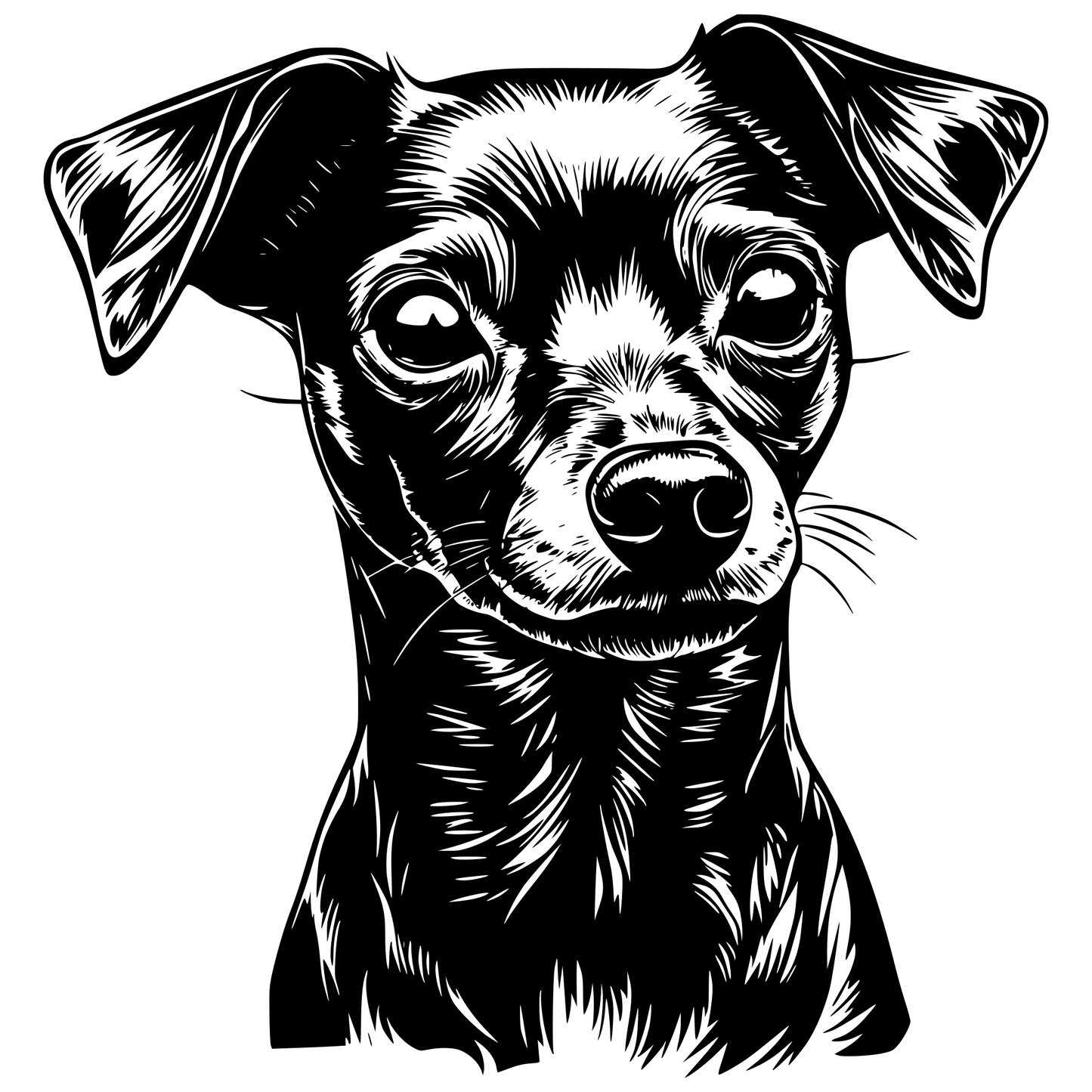 Pinscher Autoaufkleber #8