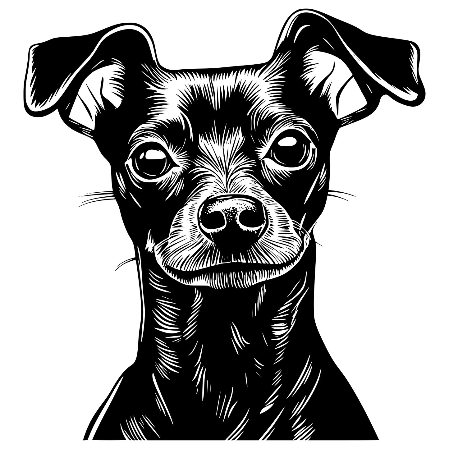Pinscher Autoaufkleber #9