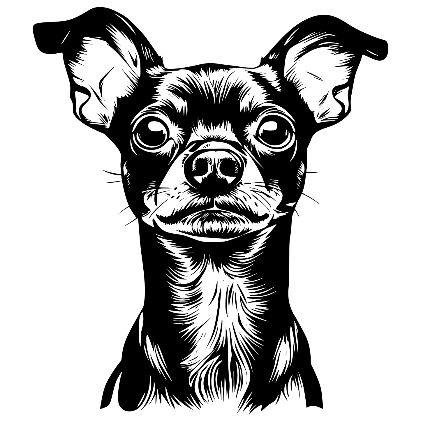 Pinscher Autoaufkleber #11