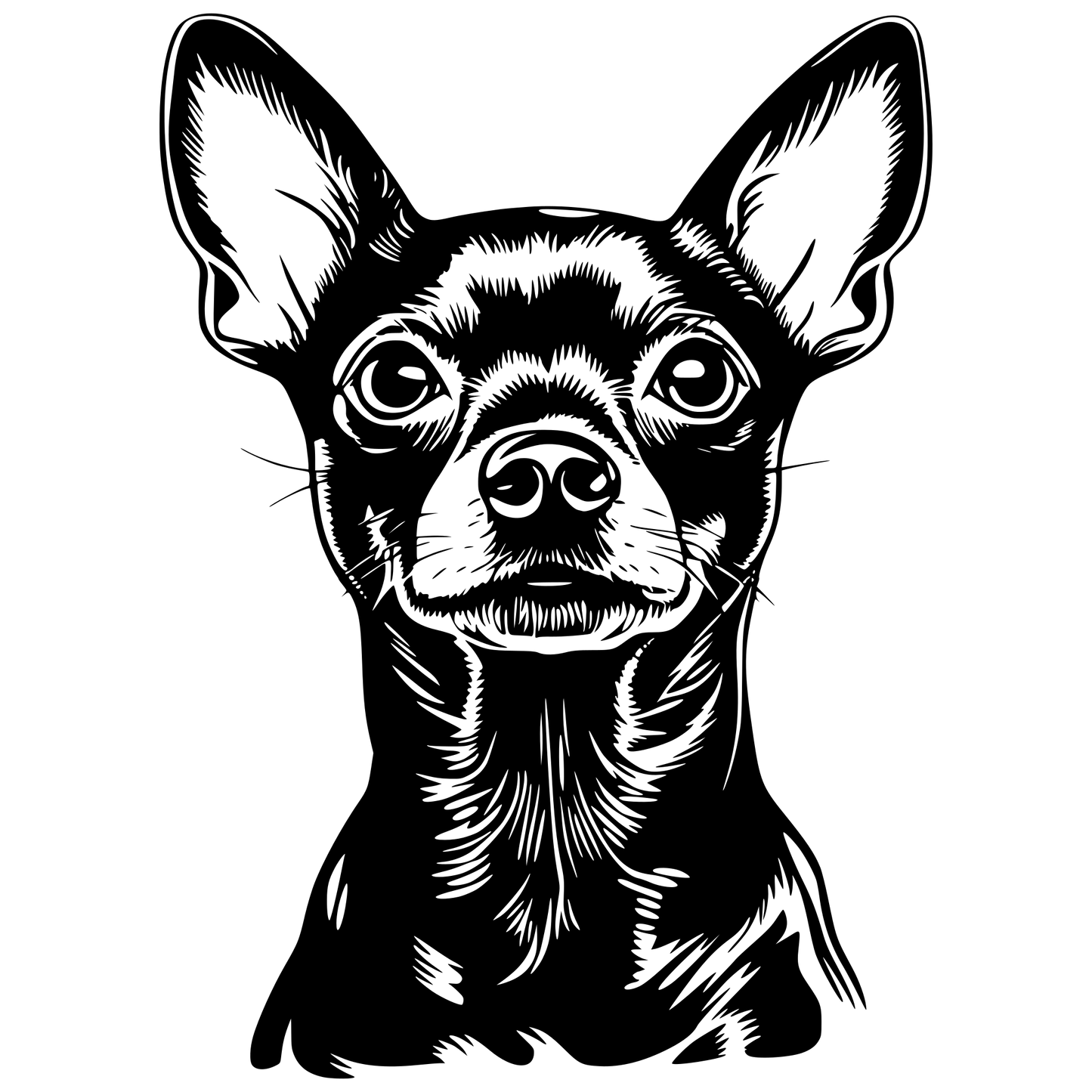 Pinscher Autoaufkleber #12
