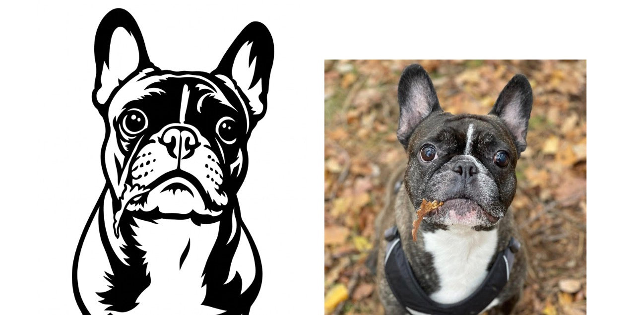 nach Fotovorlage 25cm Vektorgrafik (ein Tier)