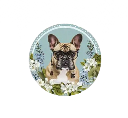 Französische Bulldogge Türschild / Dekoschild / Blechschild #152- Sale