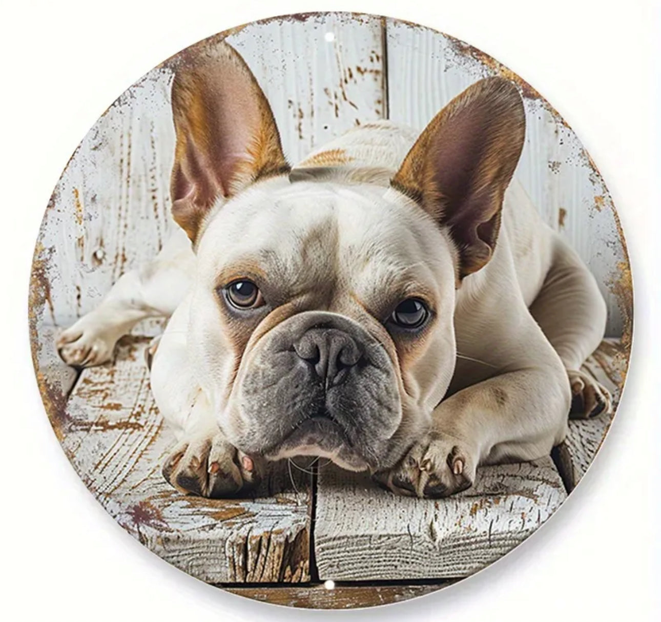 Französische Bulldogge Türschild / Dekoschild / Blechschild #13