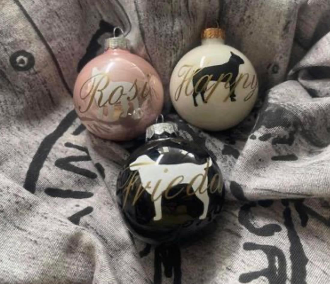 Weihnachtskugeln mit Wunschrasse und Namen aus Glas