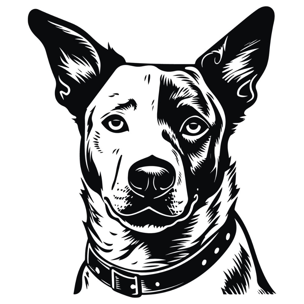 Australian Cattle Dog Autoaufkleber #1
