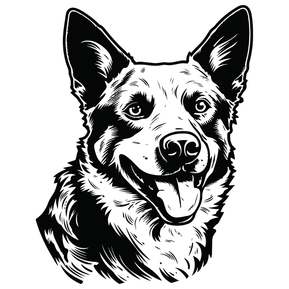 Australian Cattle Dog Autoaufkleber #2