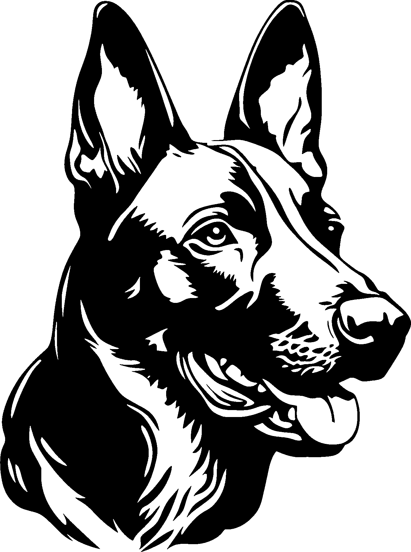 Malinois Autoaufkleber #6