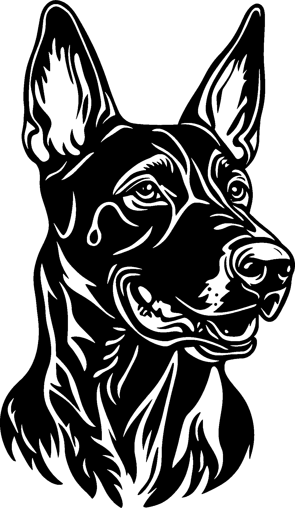 Malinois Autoaufkleber #7