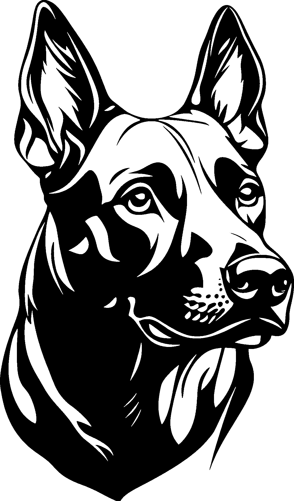 Malinois Autoaufkleber #8