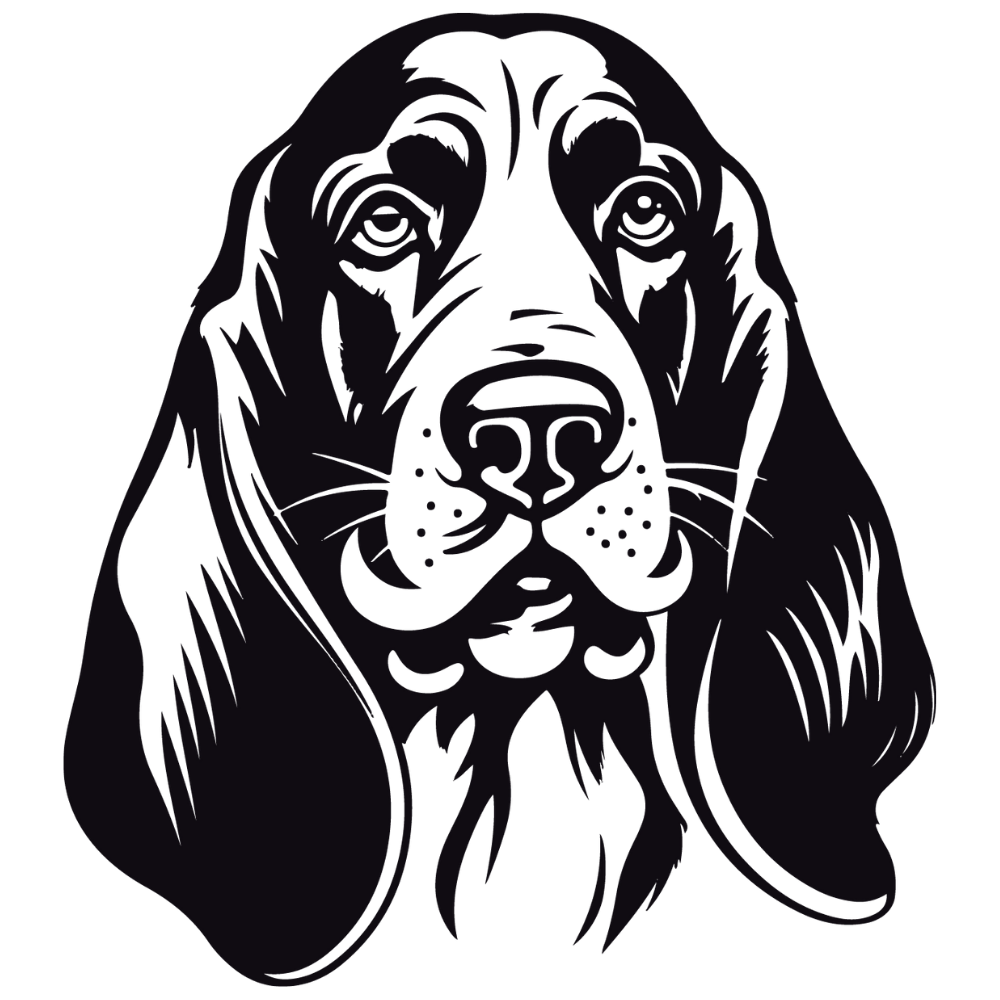 Basset Hound Autoaufkleber #1