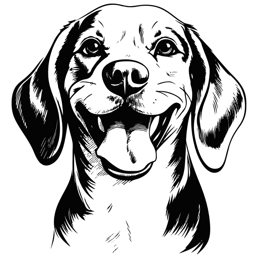 Beagle Autoaufkleber #5