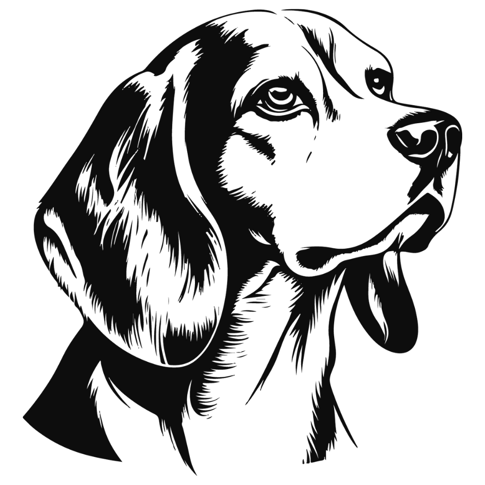 Beagle Autoaufkleber #6