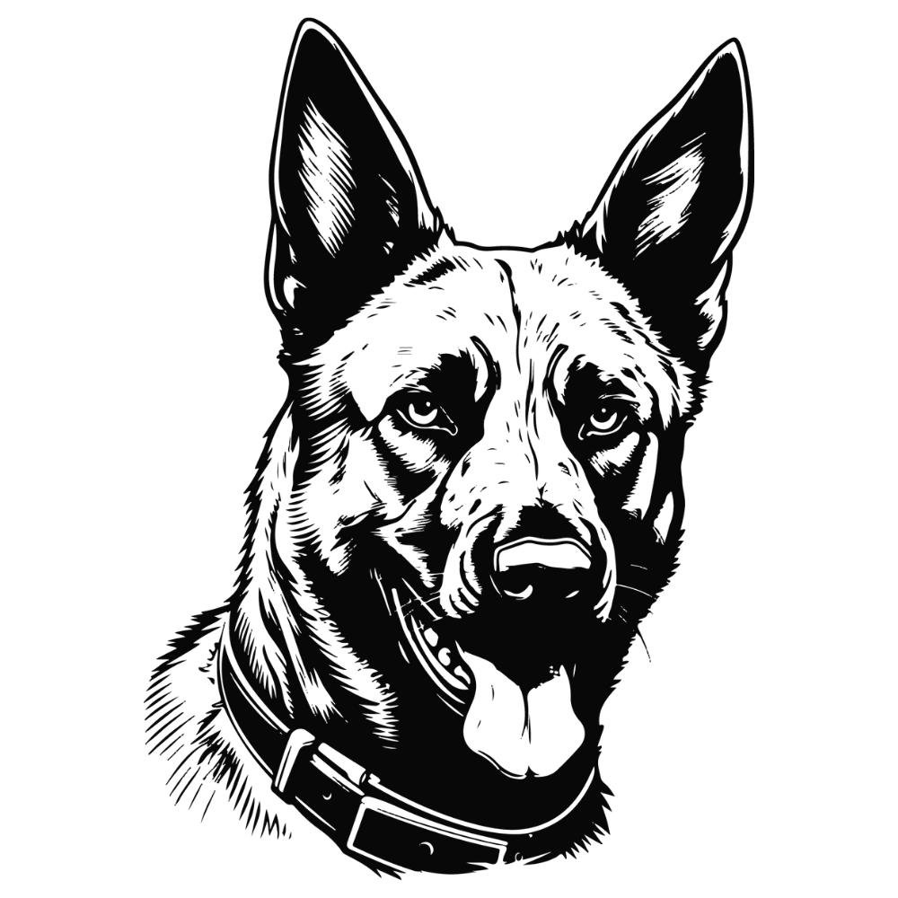 Malinois Autoaufkleber #2