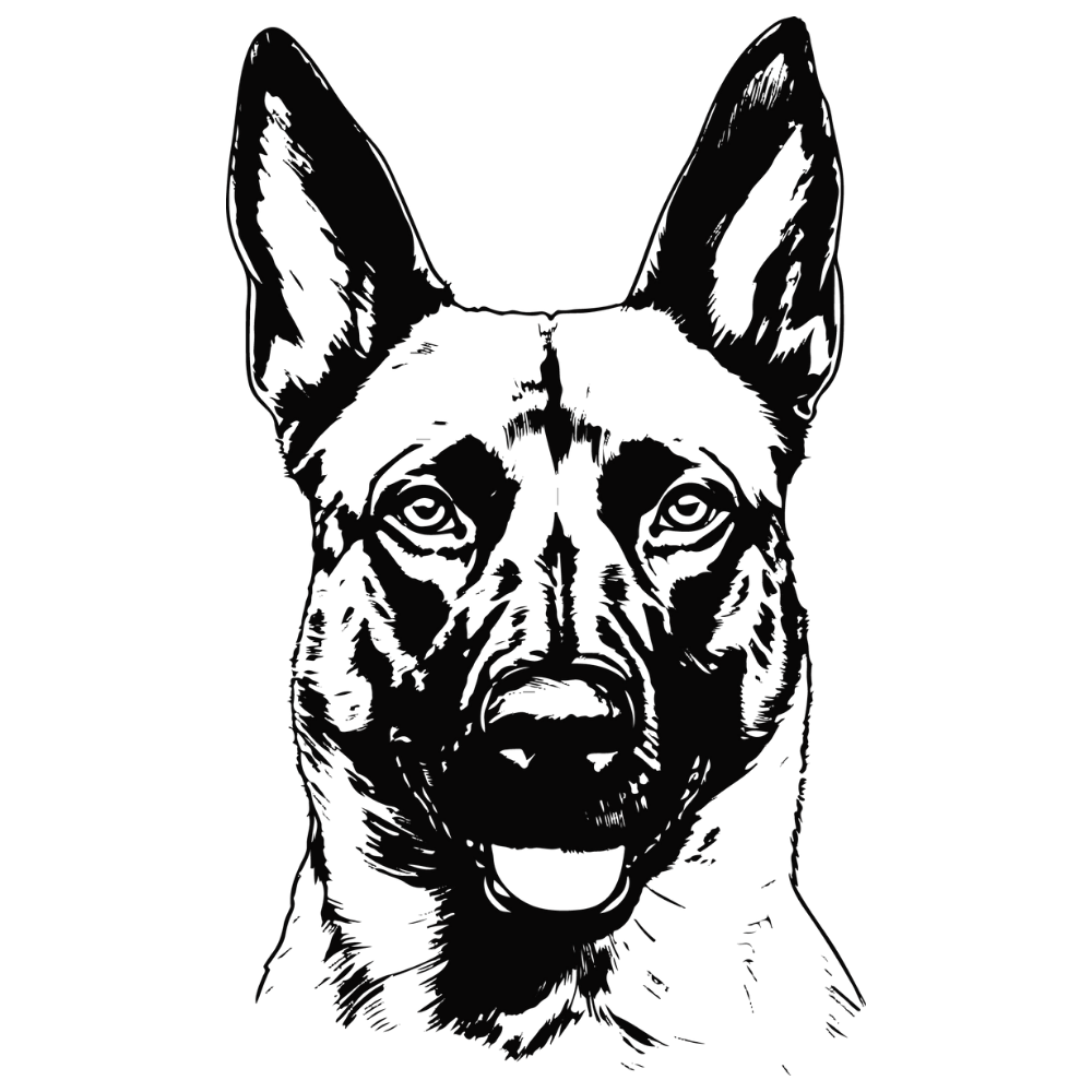Malinois Autoaufkleber #3