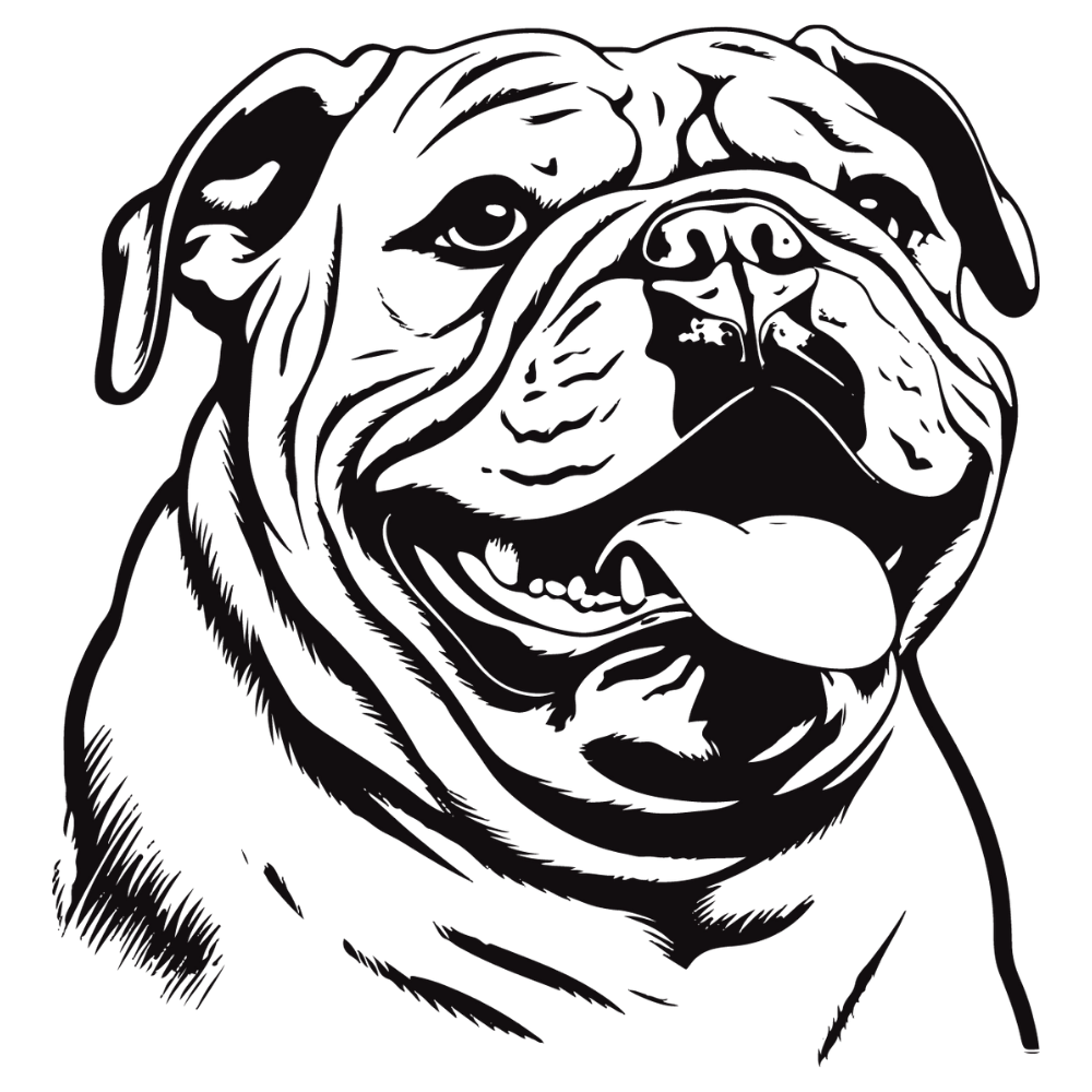 Englische Bulldogge Autoaufkleber #90