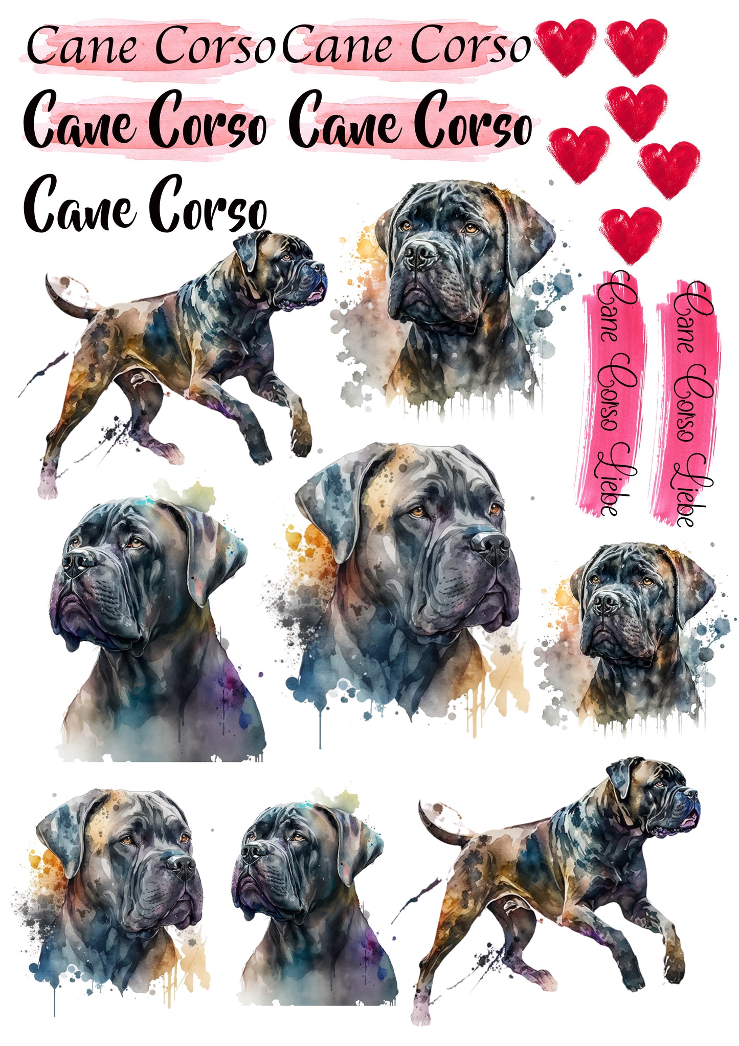 Cane Corso Wasserschiebefolie / Kerzentattoos #3