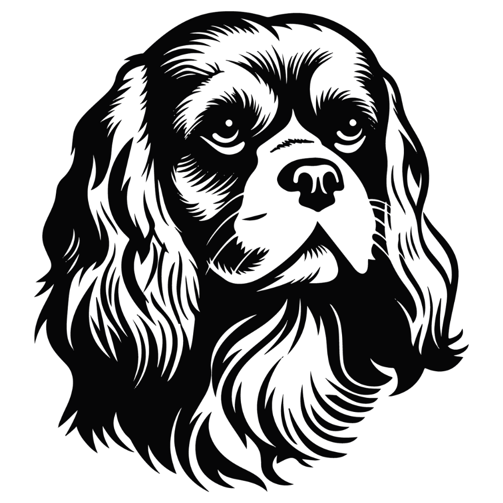 Cavalier King Charles Spaniel Autoaufkleber #1