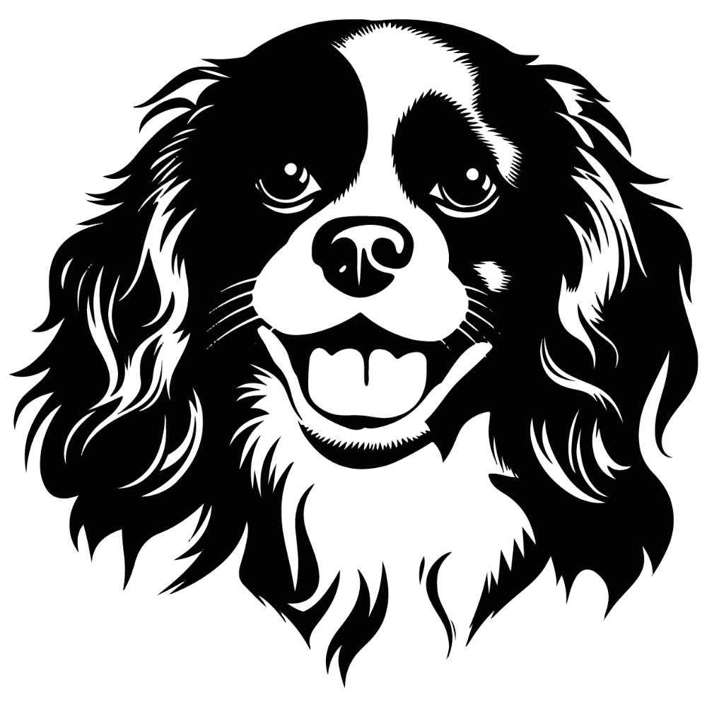 Cavalier King Charles Spaniel Autoaufkleber #2
