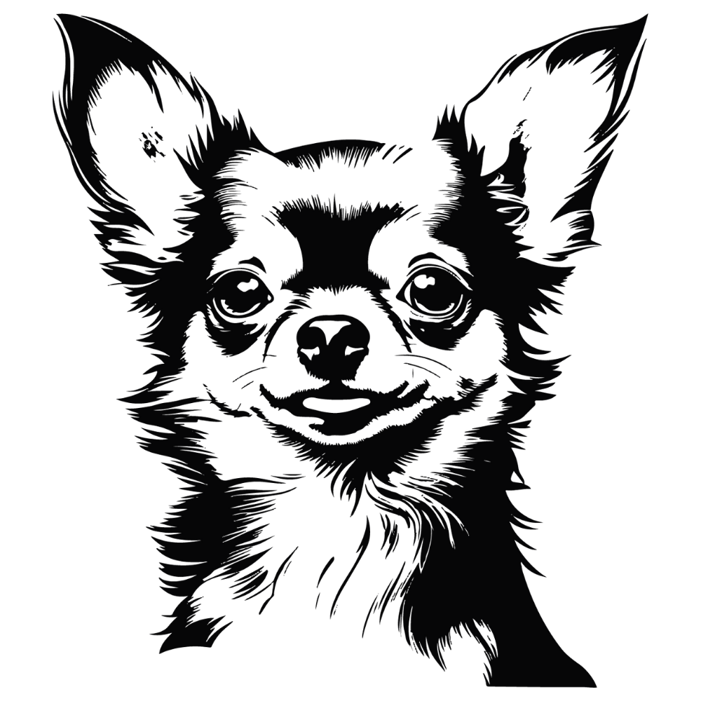 Chihuahua Autoaufkleber #52