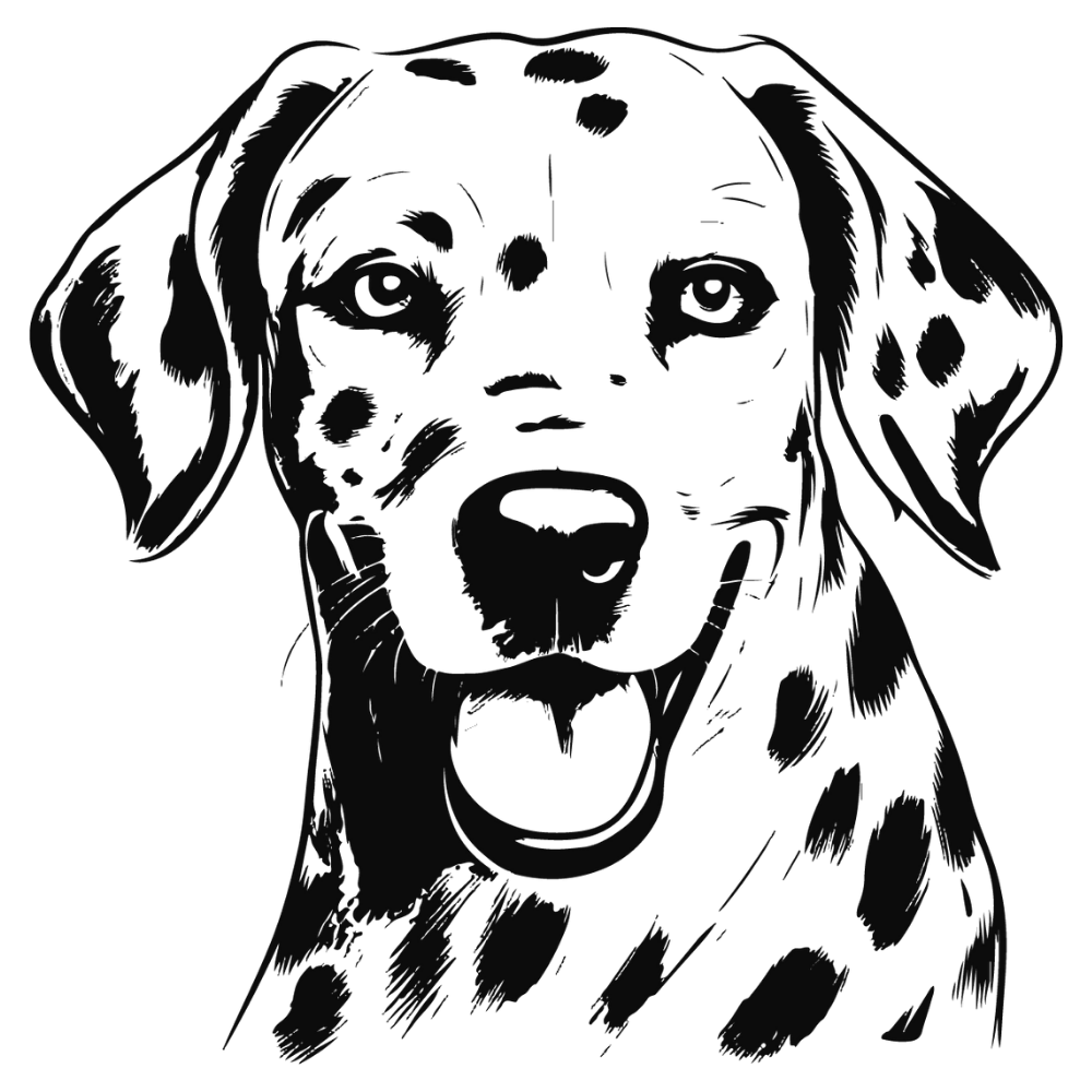 Dalmatiner Autoaufkleber #2