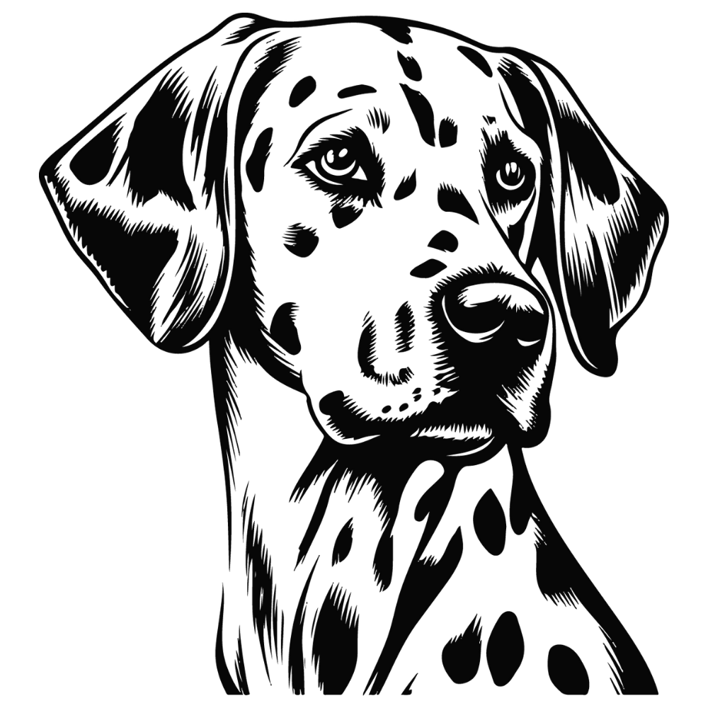 Dalmatiner Autoaufkleber #3