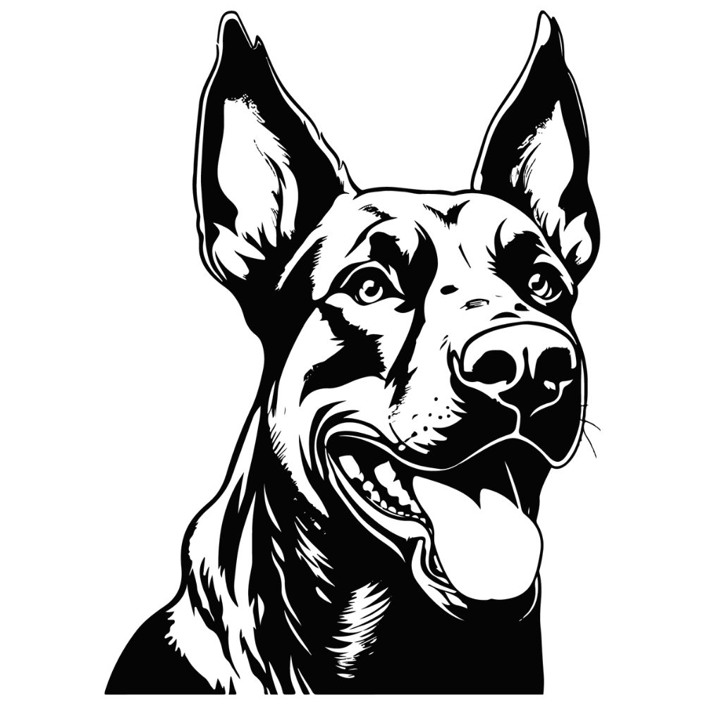 Dobermann Autoaufkleber #5