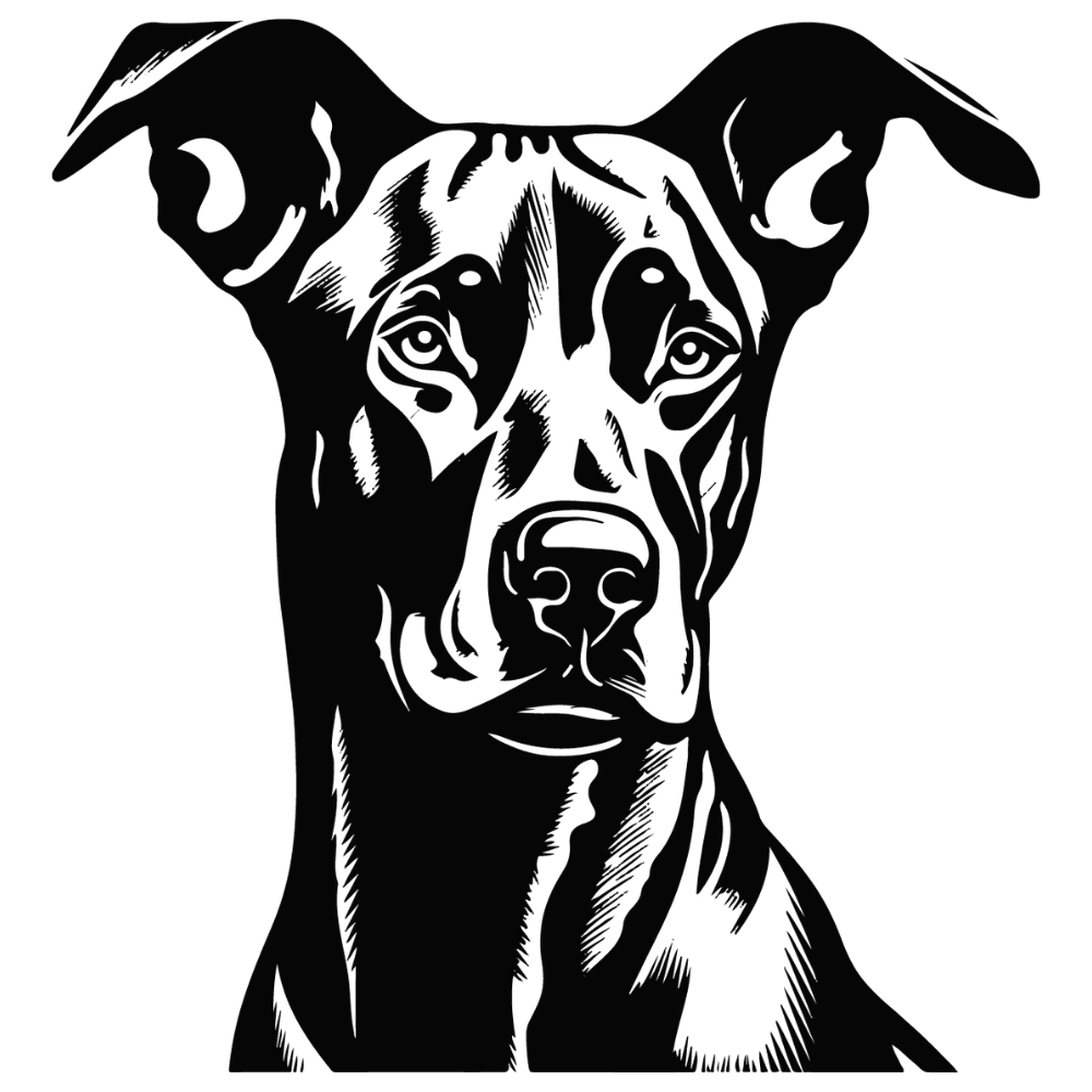 Dobermann Autoaufkleber #6