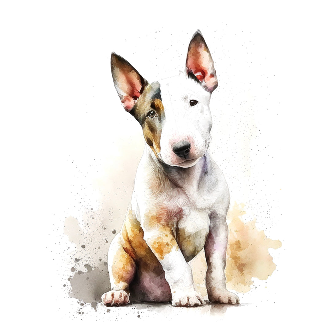 Bullterrier Bügelbild #8