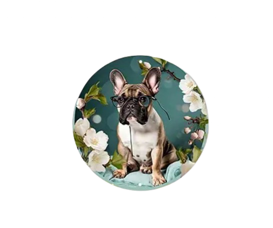 Französische Bulldogge Türschild / Dekoschild / Blechschild #144- Sale