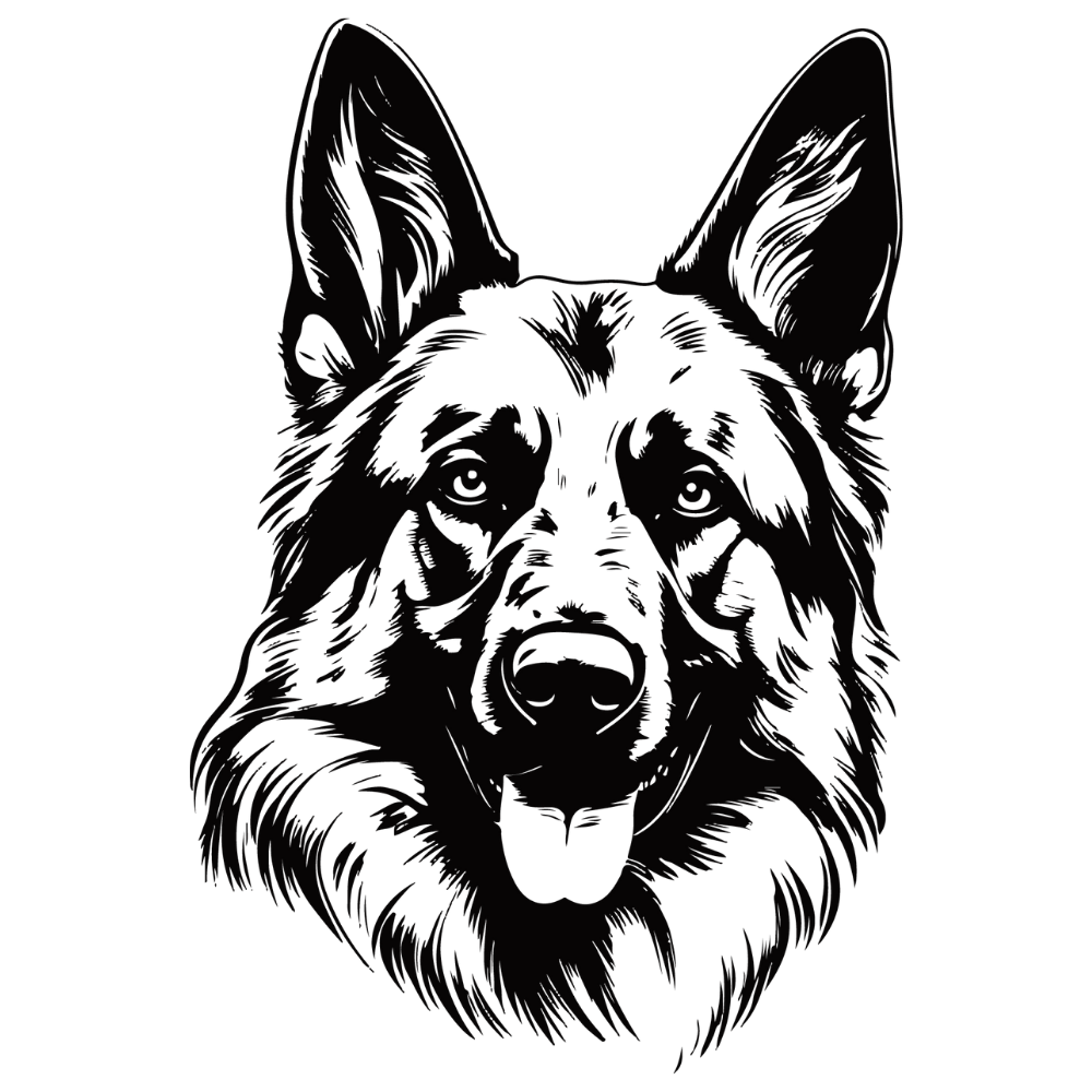 Deutscher Schäferhund Autoaufkleber #8