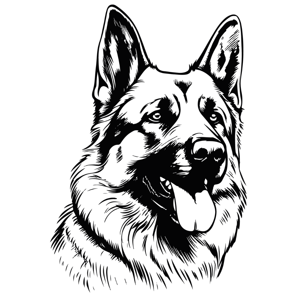 Deutscher Schäferhund Autoaufkleber #9