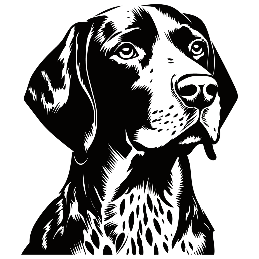 Deutsch Kurzhaar Autoaufkleber #1