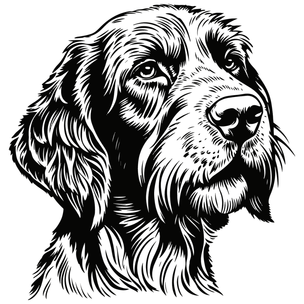 Deutsch Drahthaar Autoaufkleber #1