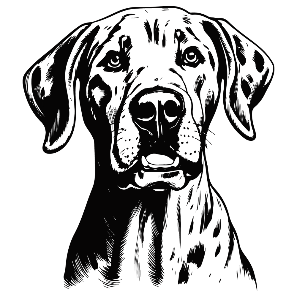 Deutsche Dogge Autoaufkleber #2