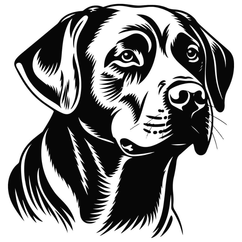 Labrador Autoaufkleber #4