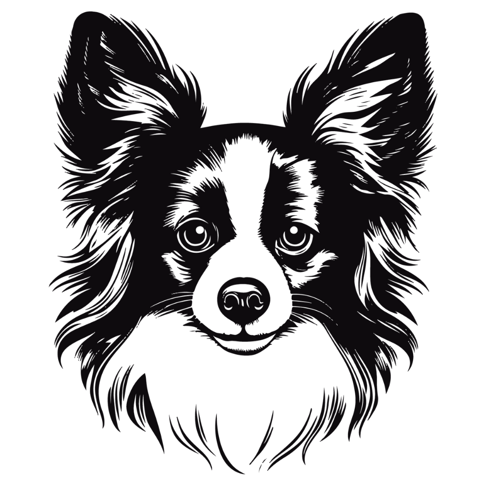 Papillon Autoaufkleber #2