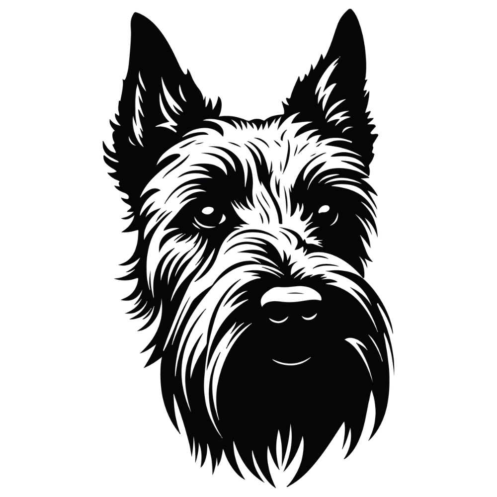 Scottish Terrier Autoaufkleber #1