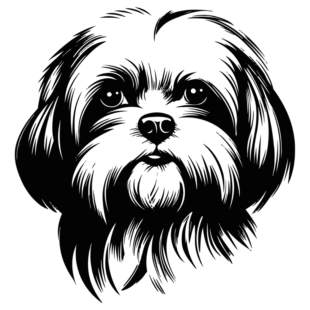 Shih Tzu Autoaufkleber #4
