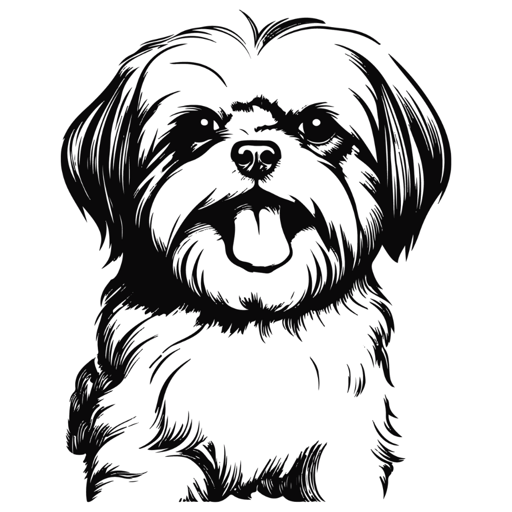 Shih Tzu Autoaufkleber #5