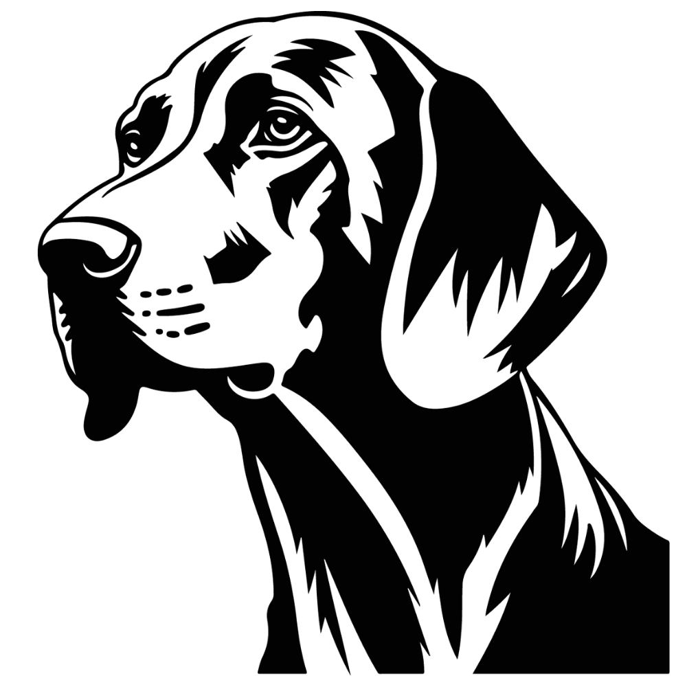 Vizsla Autoaufkleber #1