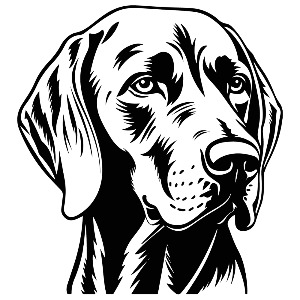 Vizsla Autoaufkleber #2