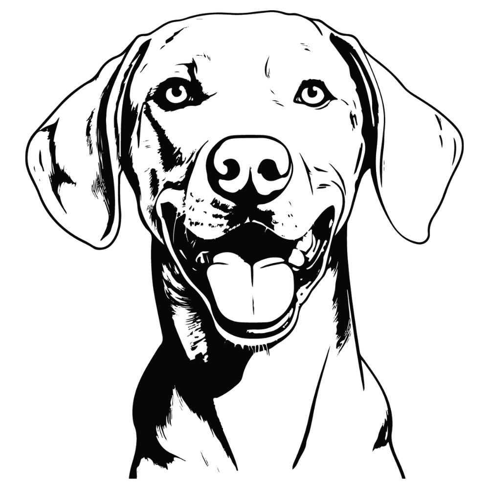 Weimaraner Autoaufkleber #1