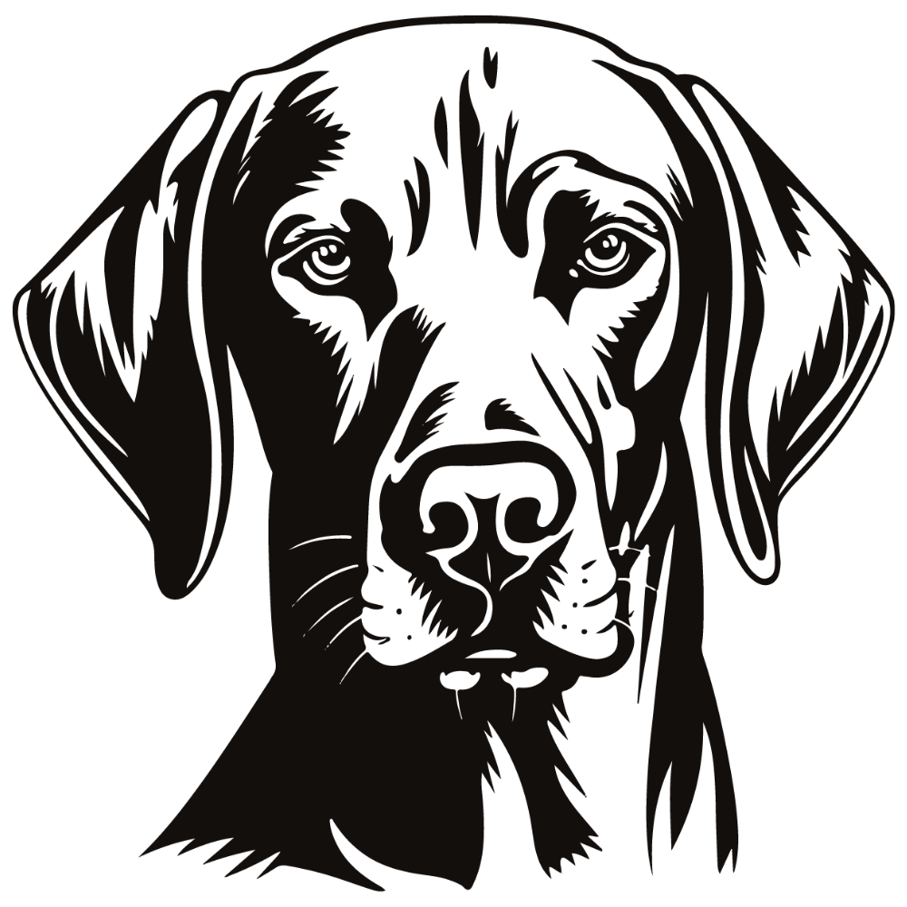 Weimaraner Autoaufkleber #2