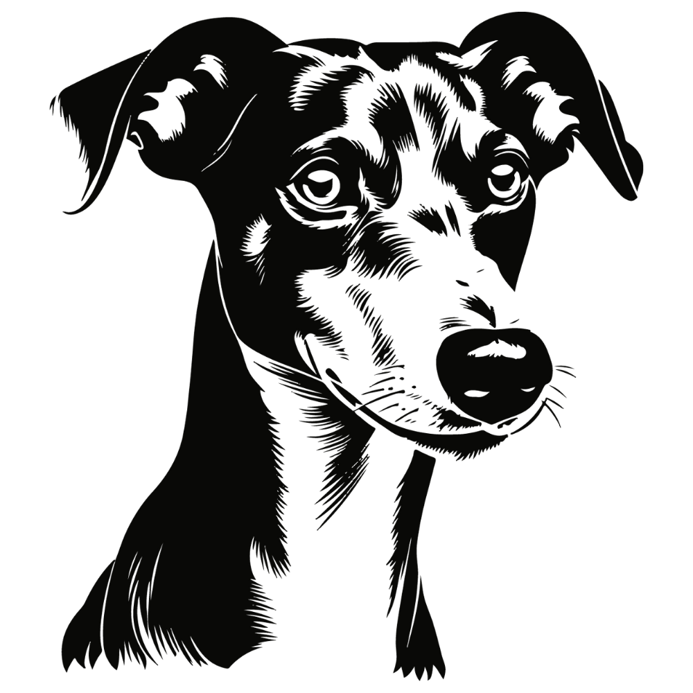 Whippet Autoaufkleber #1