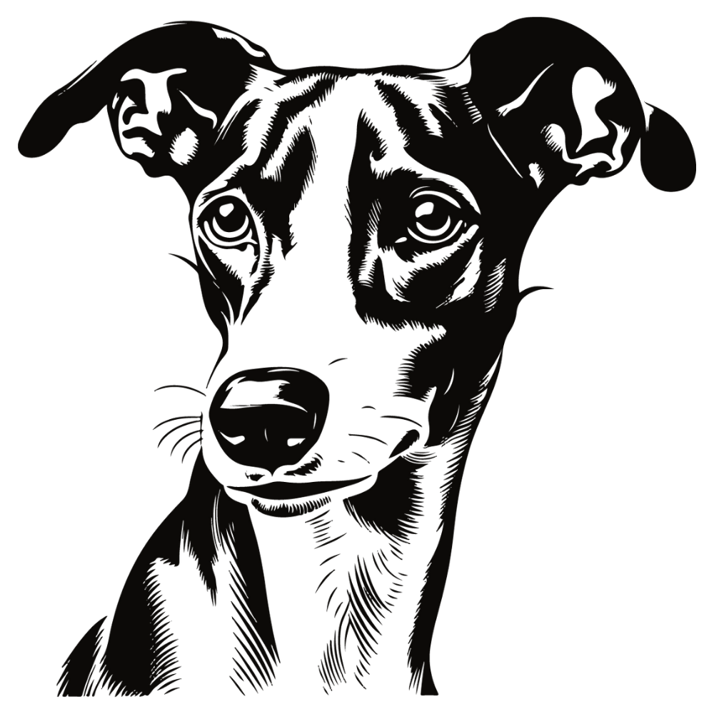 Whippet Autoaufkleber #2