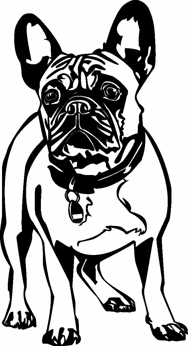 Französische Bulldogge Autoaufkleber #121