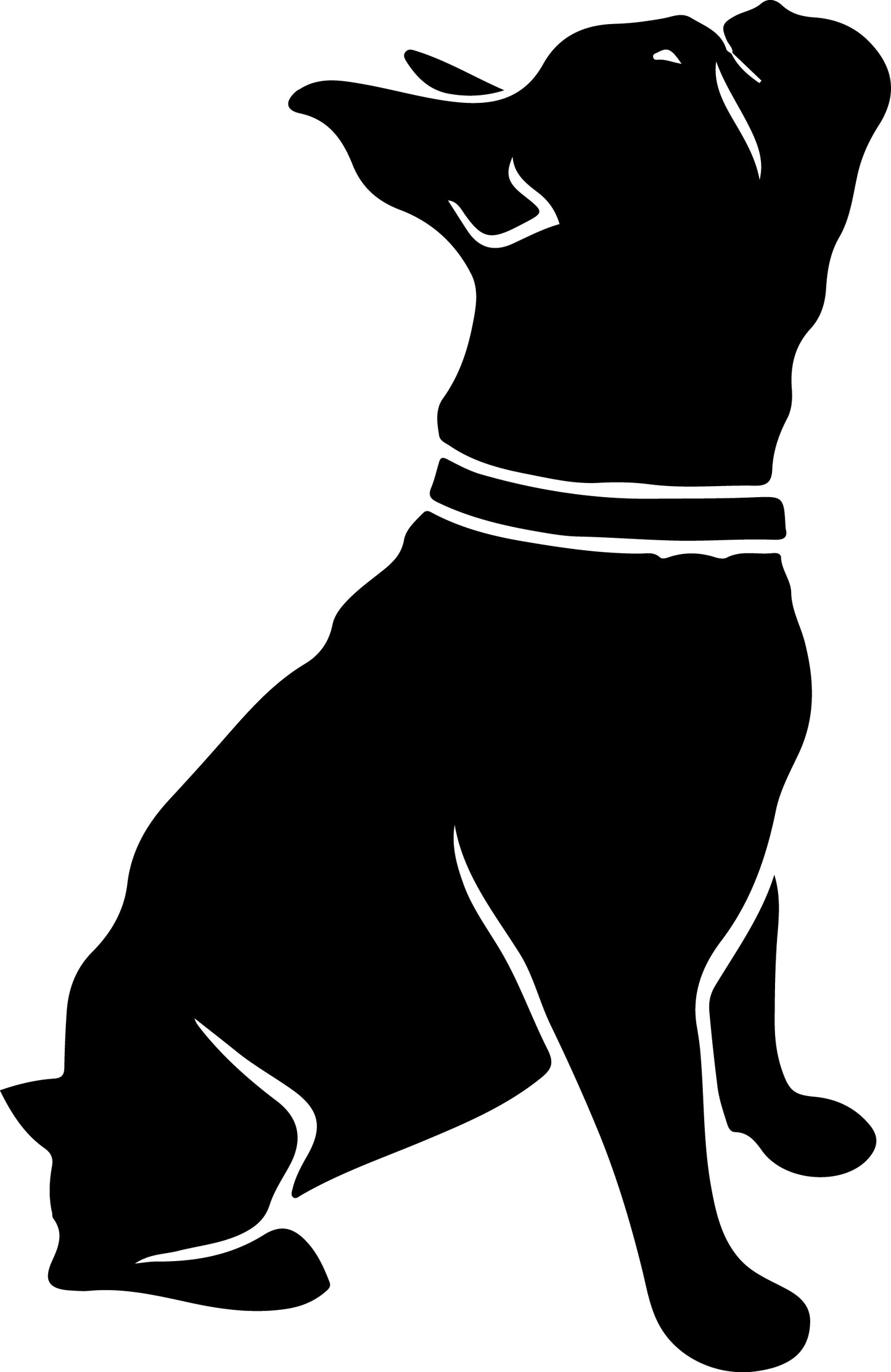 Französische Bulldogge Autoaufkleber #58
