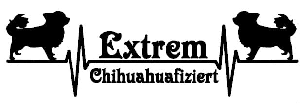 Chihuahua Autoaufkleber #1